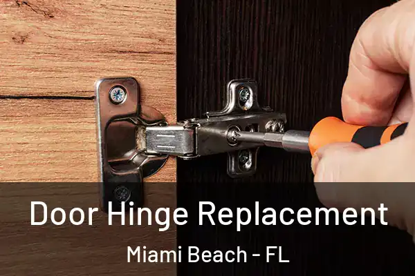 Door Hinge Replacement Miami Beach - FL