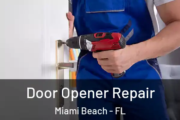 Door Opener Repair Miami Beach - FL